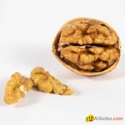 White Half Cut Kernels & Light White Walnut Kernel & Balanced Walnut Kernel & Nupicture1