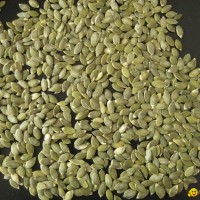 Shine Skin Pumpkin Kernel