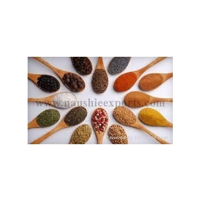 Offer To Sell Spicespicture1