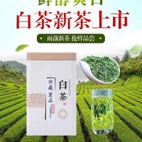 Authentic Anji white tea