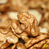 walnut kernels