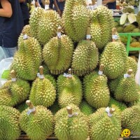 Fresh Durian