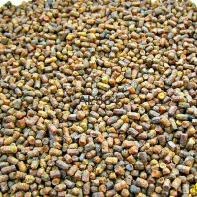 Beebreadpicture1
