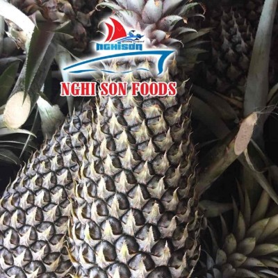 FRESH PINEAPPLEpicture1