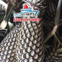 FRESH PINEAPPLE