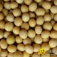 soyabeans