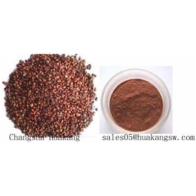 Grape seed extractpicture1