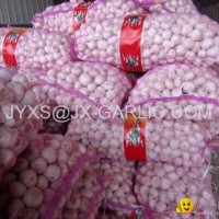 Jinxiang Normal White Garlic 20KG mesh bag packing*