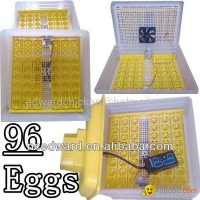 2013 high hatching rate mini difital chicken eggs incubator