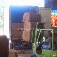 coir fibre