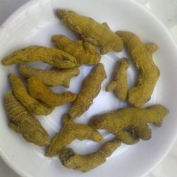 turmeric finger, whole and powder