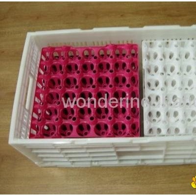 Folding plastic basketpicture1