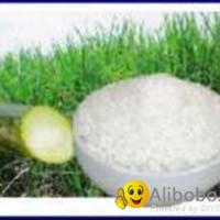 Sugar Icumsa 45