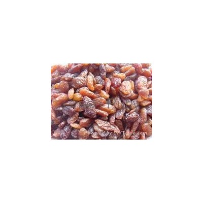 Red raisinpicture1