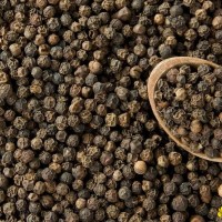 Black pepper Available for sale