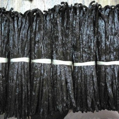 exporter of   vanilla beanspicture1