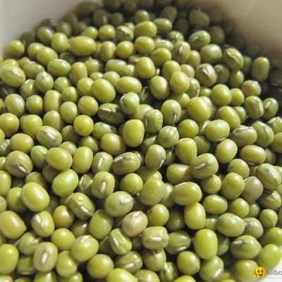 we sale grade a green mung beanspicture1