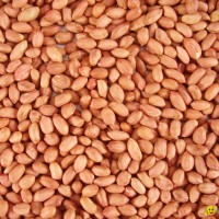 beans, bean, peanut kernels, walnut kernels,pumpkin seeds