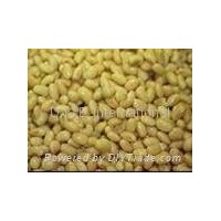 USA or Brazil #2 Soya Beans