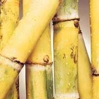White refined  cane sugar