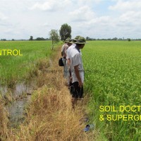 Soil Doctor