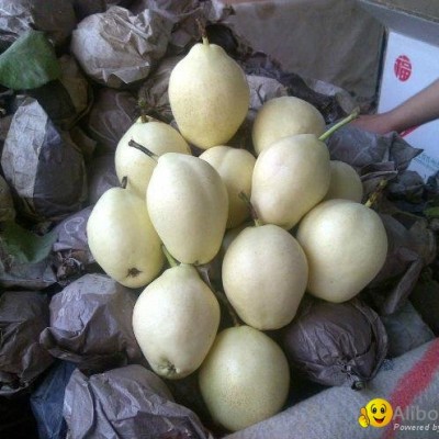 zao su pearpicture1