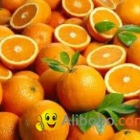 FRESH ORANGES CLASS 1 FOR SELL