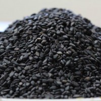 Sesame Seeds