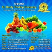 Fresh Fruits and vegetables