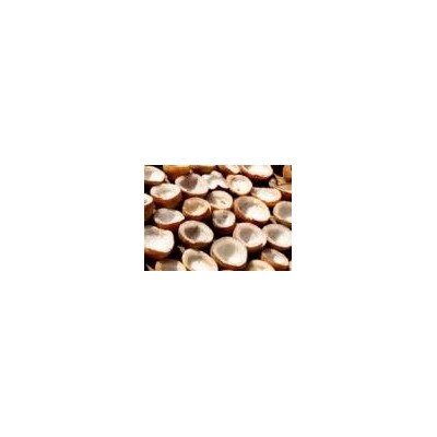 Coconut Coprapicture1