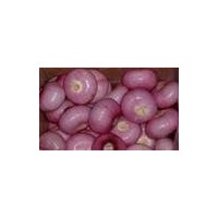 FRESH  PINK ONION FARM FRESH