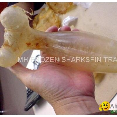 BALLON FISH MAWS FROM INDONESIApicture1