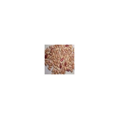 Light speckled kideny beans( long shape)picture1