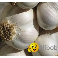 Fresh Garlics - Best Quality