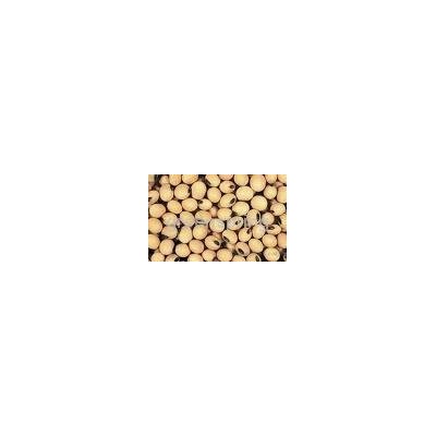 soybean extractpicture1
