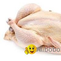 Chicken & parts