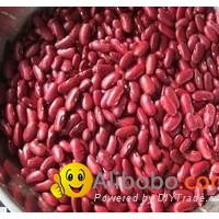 Red Kidney Beans