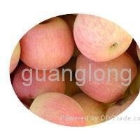 Fuji apple