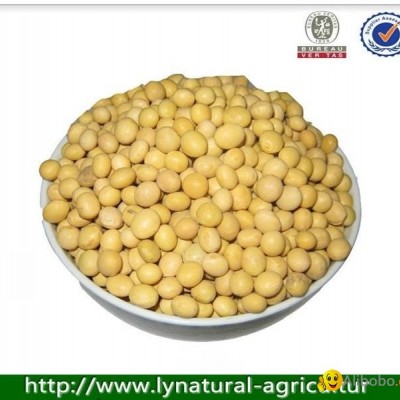 China Hot Selling Soybeanpicture1