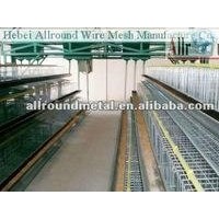 high quality broiler raising cage