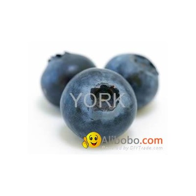 frozen blueberrypicture1