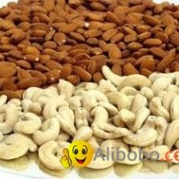 Raw and Salted cashew Nuts
