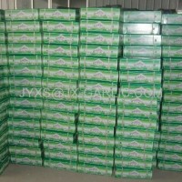 Fresh Normal White Garlic 10kg per carton*