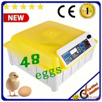 home-made full automatic incubator