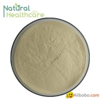 Best Ginseng Extract Powder