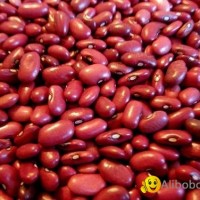 Red Kidney Beans - new harvest