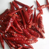 2019 New factory wholesale dried red chilli