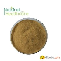 High Quality Bearberry Leaf Extract