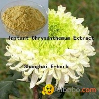 Instant Chrysanthemum Extract Powder