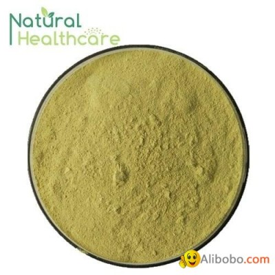 Good price organic olive leaf extractpicture1